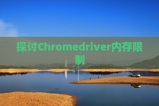 探讨Chromedriver内存限制